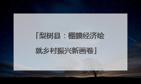 梨树县：棚膜经济绘就乡村振兴新画卷